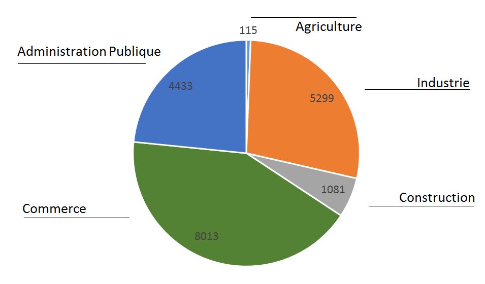 emploi agglo saint louis repartition secteurs