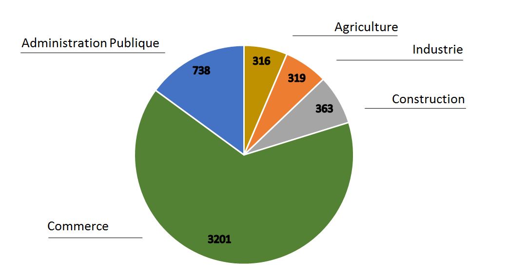 repartition entreprises par secteurs d'activités de Saint-Louis